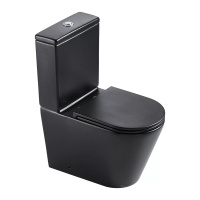 Напольный унитаз с бачком безободковый Gid Tn2189Bm