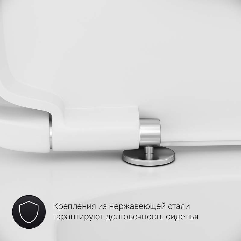 Комплект унитаз напольный и аксессуары AM.PM Spirit CK70DC
