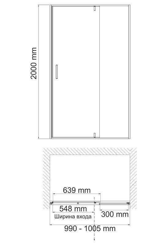 Душевая дверь (100х200) WasserKRAFT Elbe 74P12