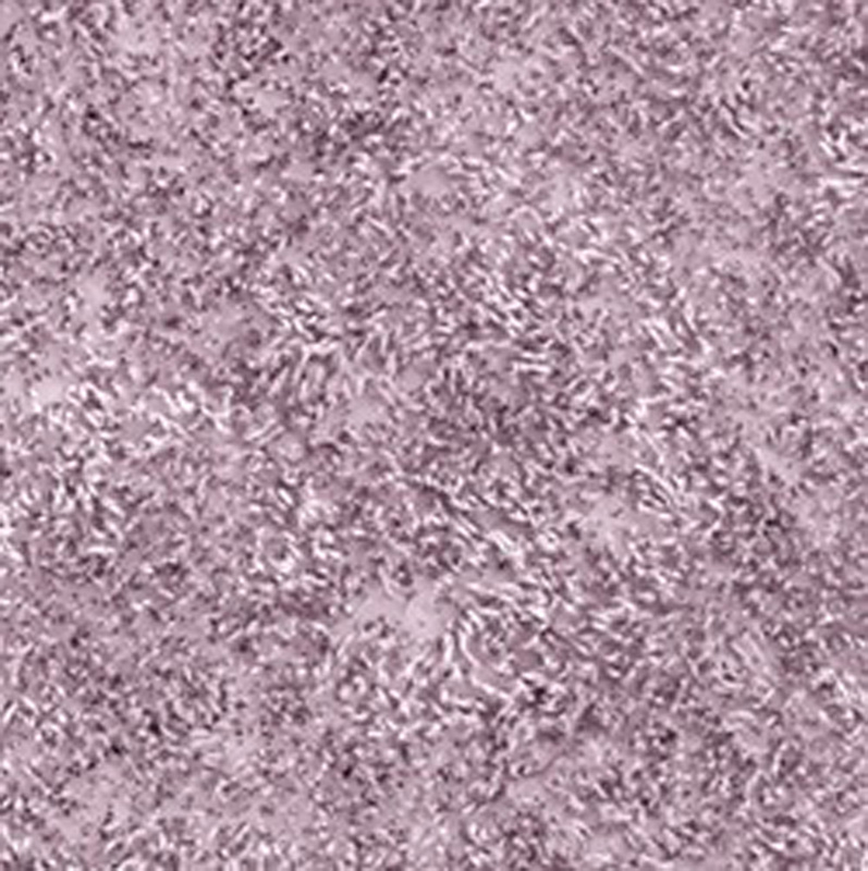 Коврик для ванной комнаты  WasserKRAFT Kammel BM-8334