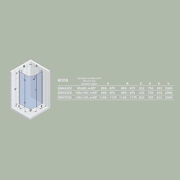 Душевой угол RIHO SCANDIC W308-100/100 GW46200