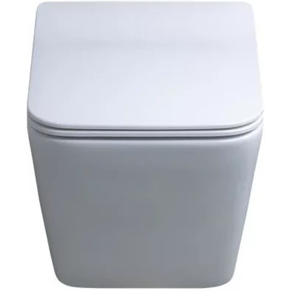 Подвесной унитаз безободковый Gid Tr2144