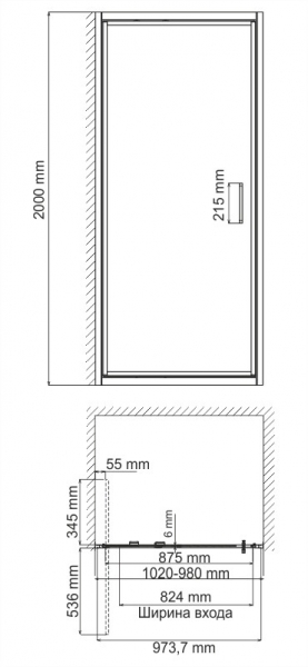 Душевая дверь (100х200) WasserKRAFT Salm 27I12