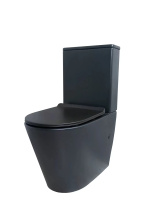 Напольный унитаз с бачком безободковый Gid Tr2179BM