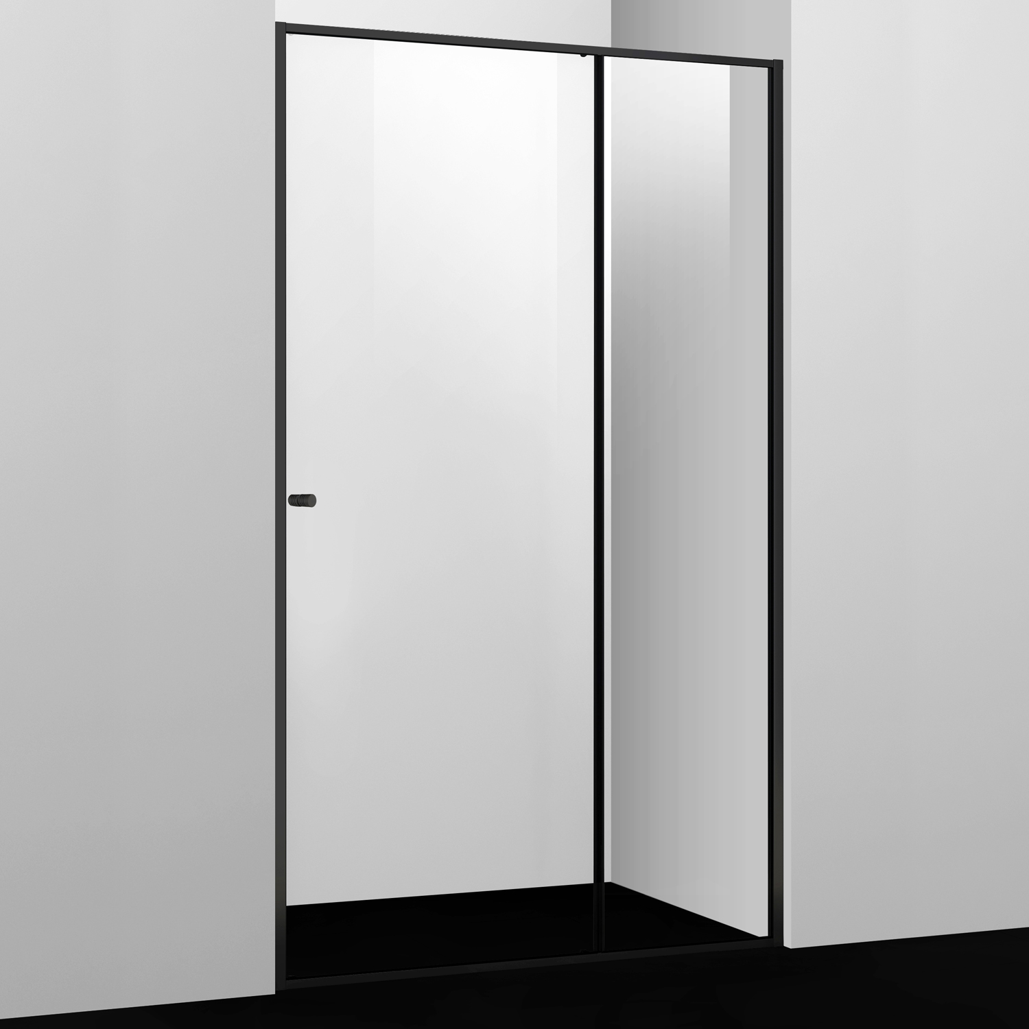 Душевая дверь (100х200) WasserKRAFT Dill 61S12